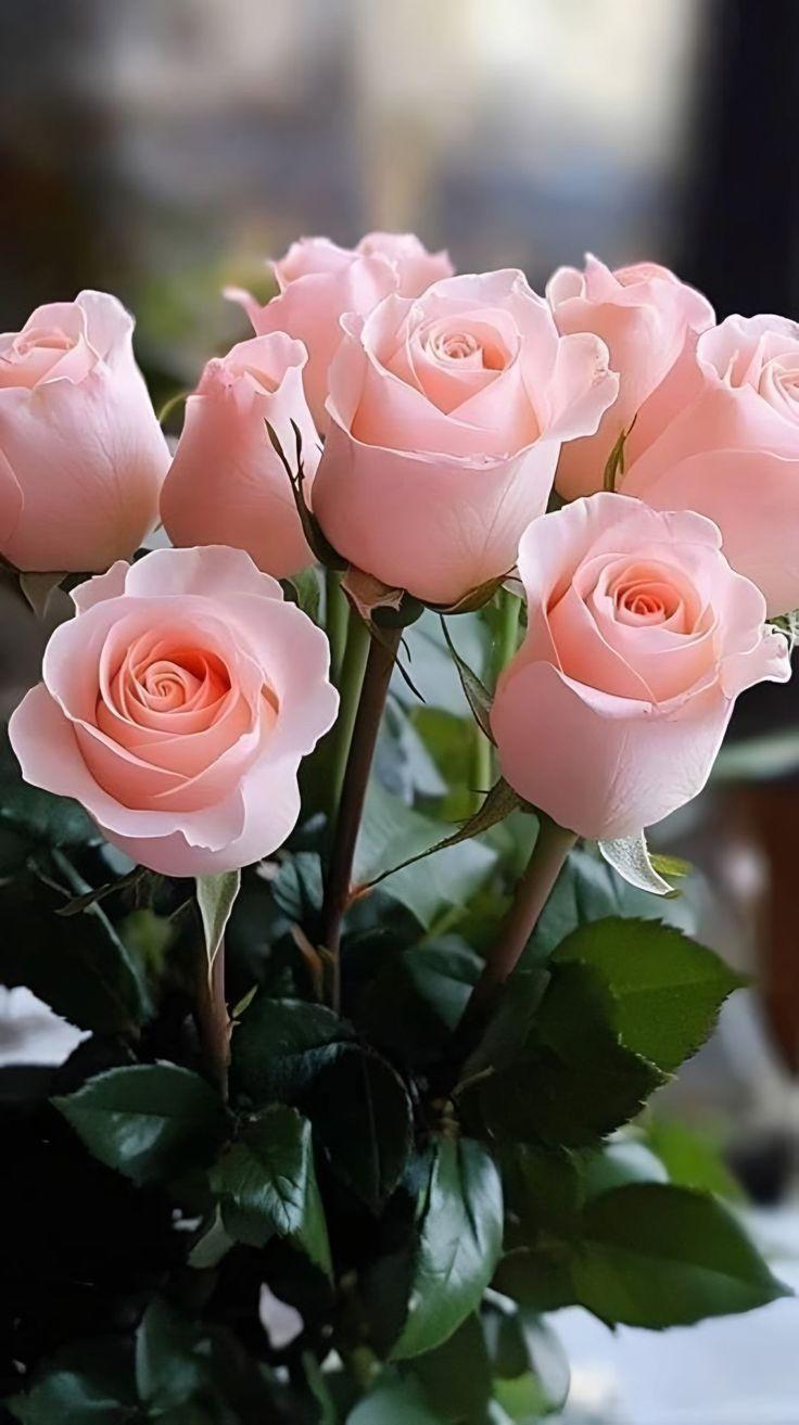 Corporate meeting room with carefully timed floral arrangements that maintain elegance throughout business hours